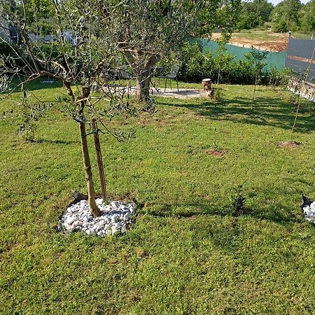 Apartman Jenny-Porec Kosinozici Екстериор снимка